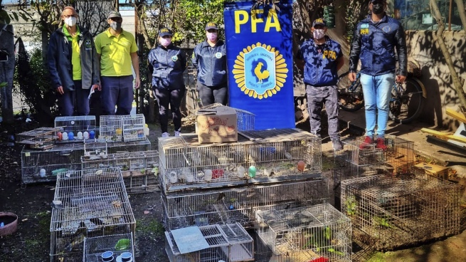 About 100 birds illegally offered on Facebook are rescued in Mar del Plata