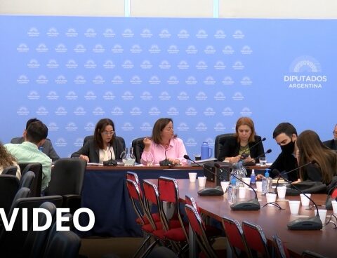 Auctioneers ask to reform the law while tenants want to analyze "in detail"