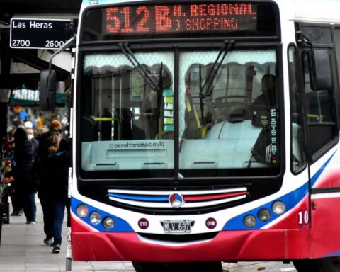 Bus stoppage: how long will it last and which lines will be affected