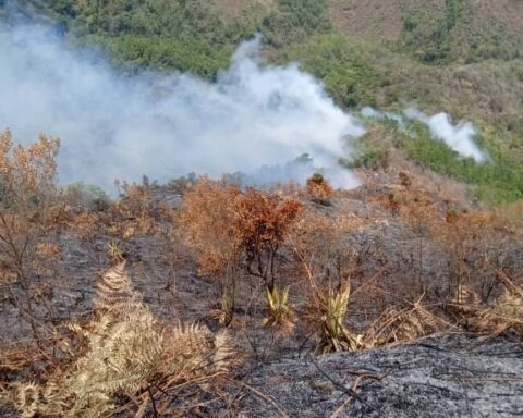 Controlled fire in the Cachimbo sector in the Waraira Repano