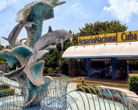 Entrada del Acuario Nacional de Cuba. Foto: Radio COCO / Archivo.