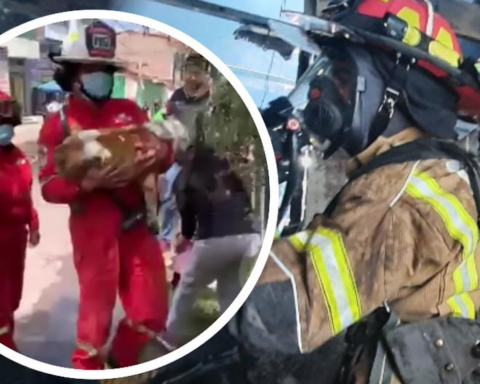 Cusco: veterinary catches fire and pets perish despite the efforts of firefighters (VIDEO)