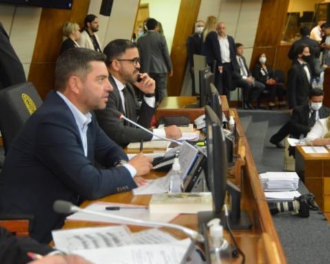 Deputies approve that DDJJ can be false