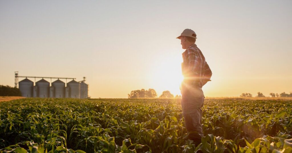 Economy reaffirms Mexico's objectives in the 2030 Agenda