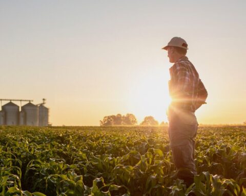 Economy reaffirms Mexico's objectives in the 2030 Agenda