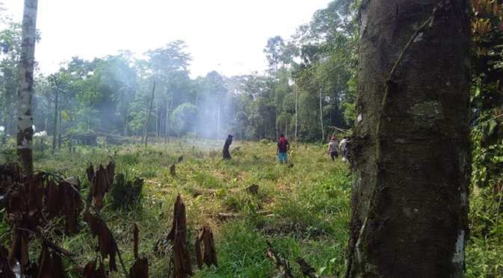 Ecuador supported actions of the Colombian Army in Putumayo against FARC dissidents