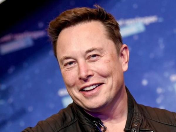 Elon Musk: a visionary genius or a business madman?