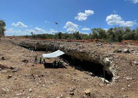 Endemic species of caves are in danger by Section 5 of the Mayan Train, expert alert