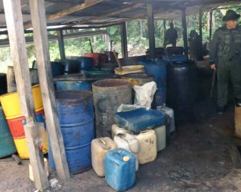 FANB destroyed Tancol camp with 7,530 kilos of drugs in Zulia