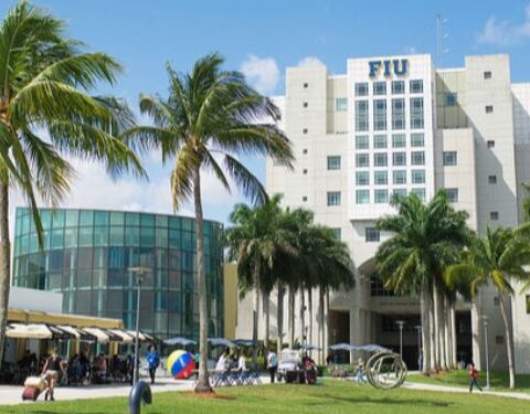 Foro, FIU