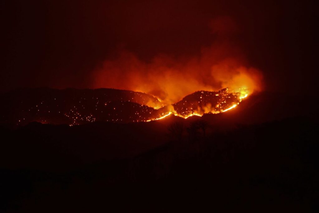 Forest fires could double in Nicaragua, according to NGOs