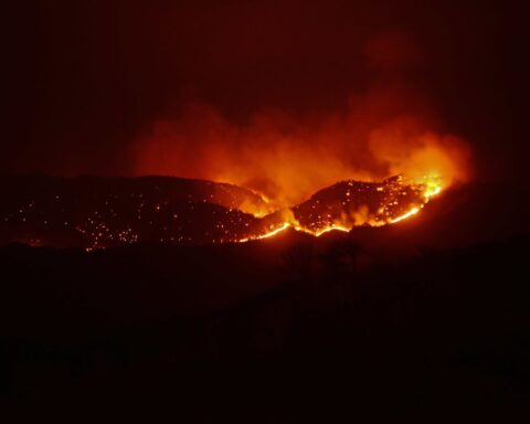 Forest fires could double in Nicaragua, according to NGOs