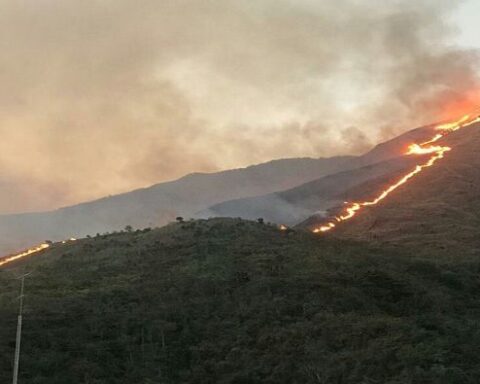 Fully controlled fire in the Waraira Repano