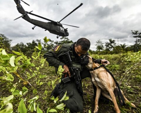 Government of the United States certified Colombia in the fight against drugs in 2021