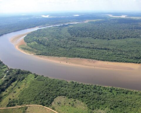 Guaviare: 23 students from a boarding school were transferred for possible malaria or severe dengue