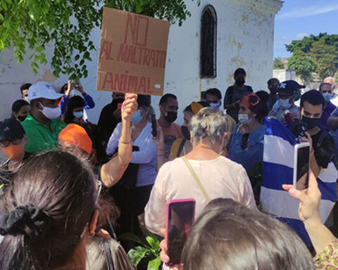 Harassed by the police, animal activists gather at the Colón cemetery in Havana