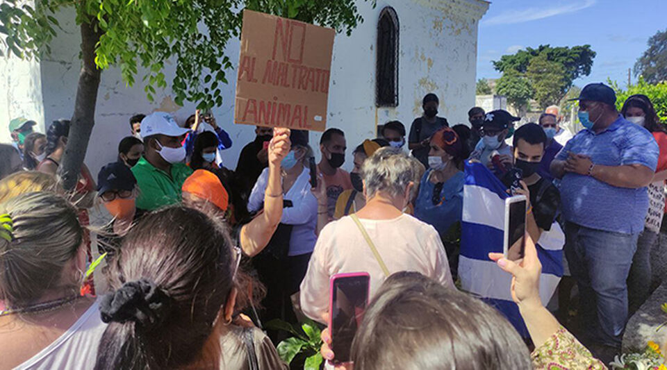Harassed by the police, animal activists gather at the Colón cemetery in Havana