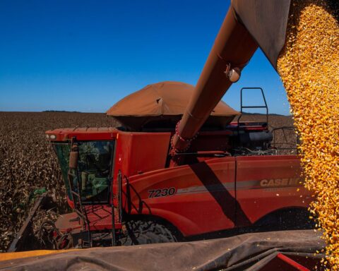 IBGE reduces forecast, but Brazil should have record grain harvest