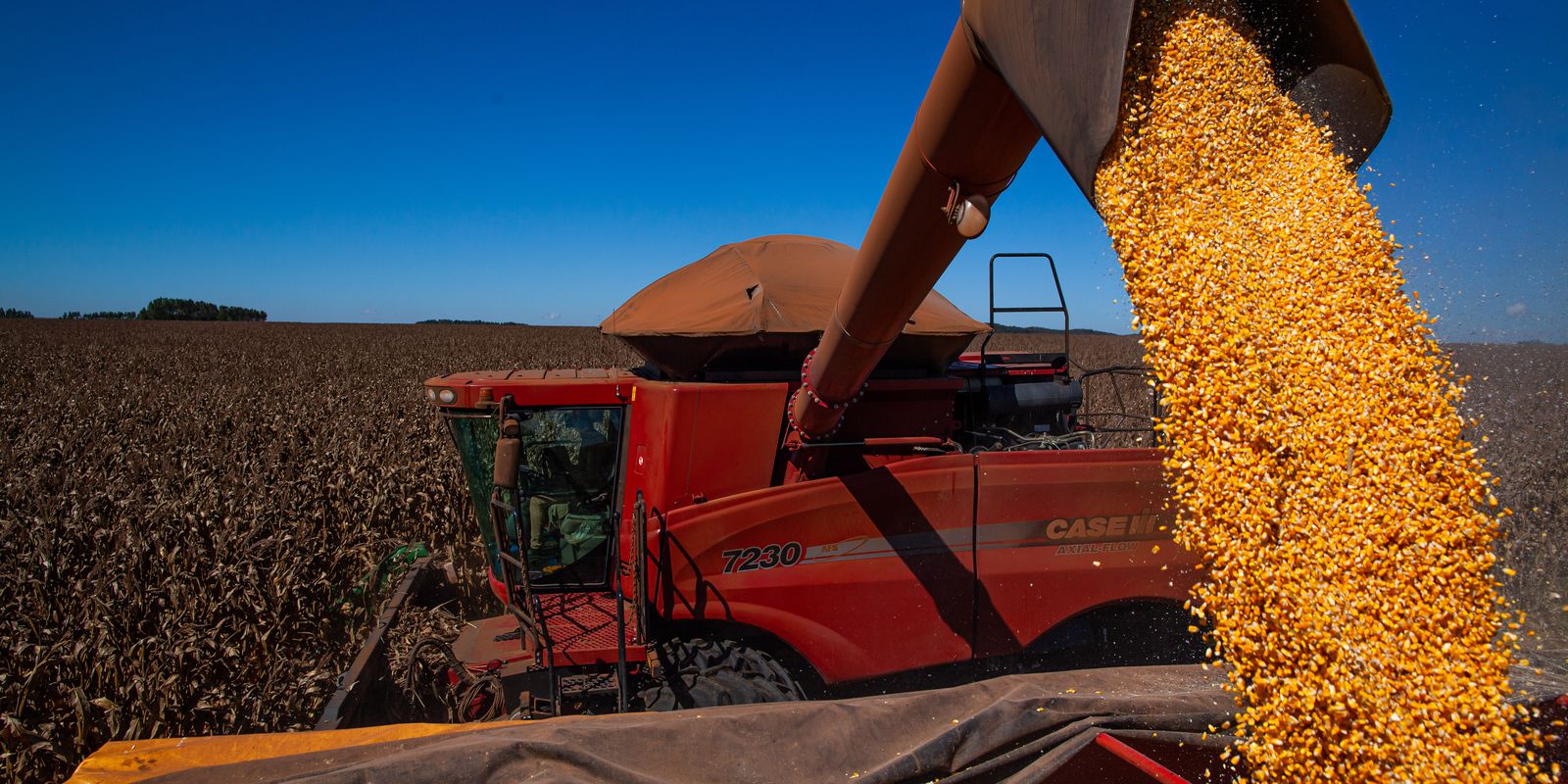 IBGE reduces forecast, but Brazil should have record grain harvest