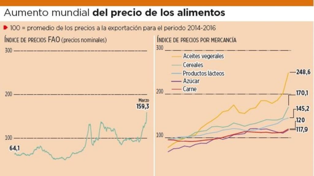 Impact of the war: rise in grain and oil prices and lower growth