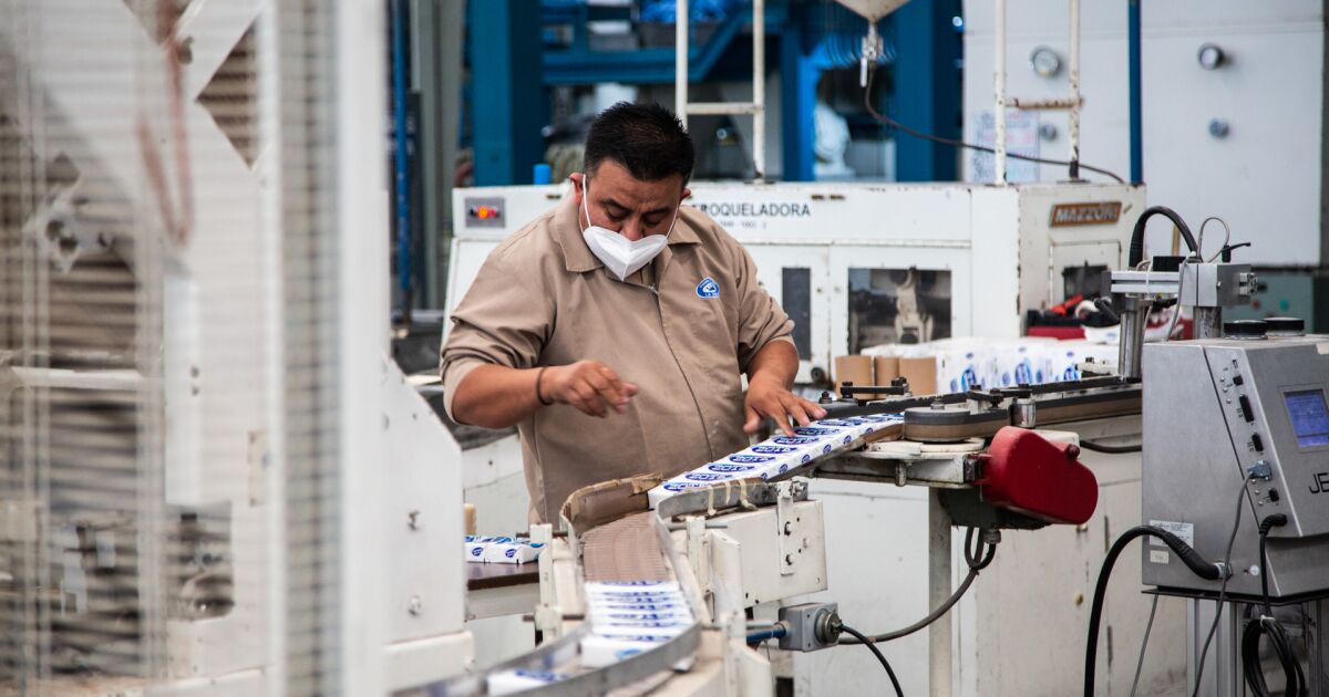 Mexico achieves record formal employment in the first quarter