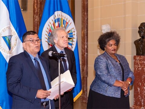 Orlando Tardencilla takes up the regime's confrontational stance at the OAS