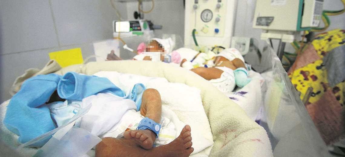 Overcrowding drowns motherhood;  in a room for 6 can fit up to 18 neonates
