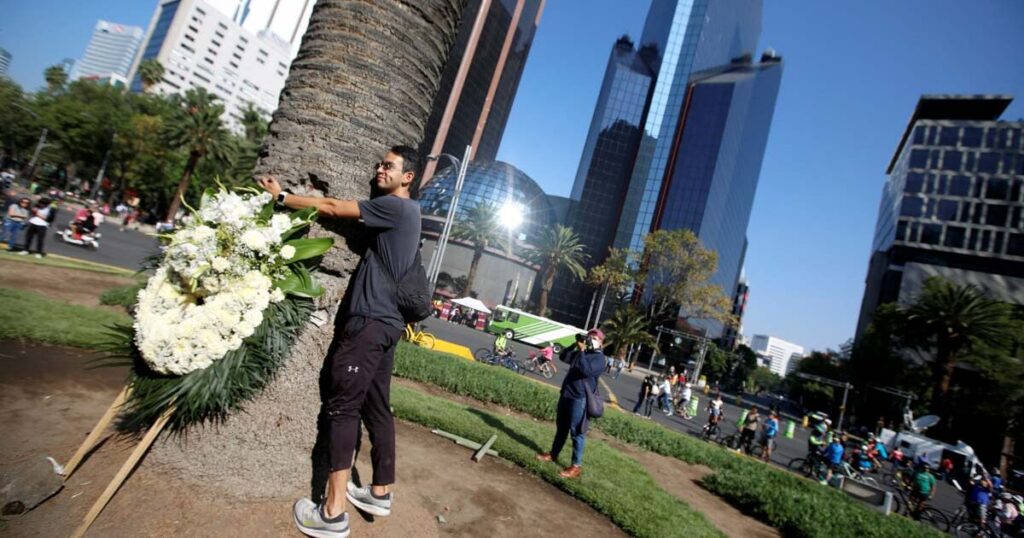 People from the capital say goodbye to La Palma on Paseo de la Reforma