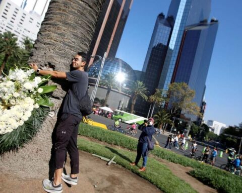 People from the capital say goodbye to La Palma on Paseo de la Reforma