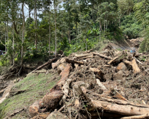 Seven people die in Cachipay and Viotá due to landslides