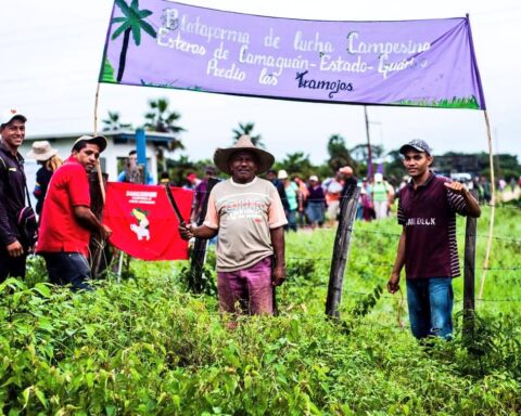 TSJ ruling returns land to peasants from Los Tramojos