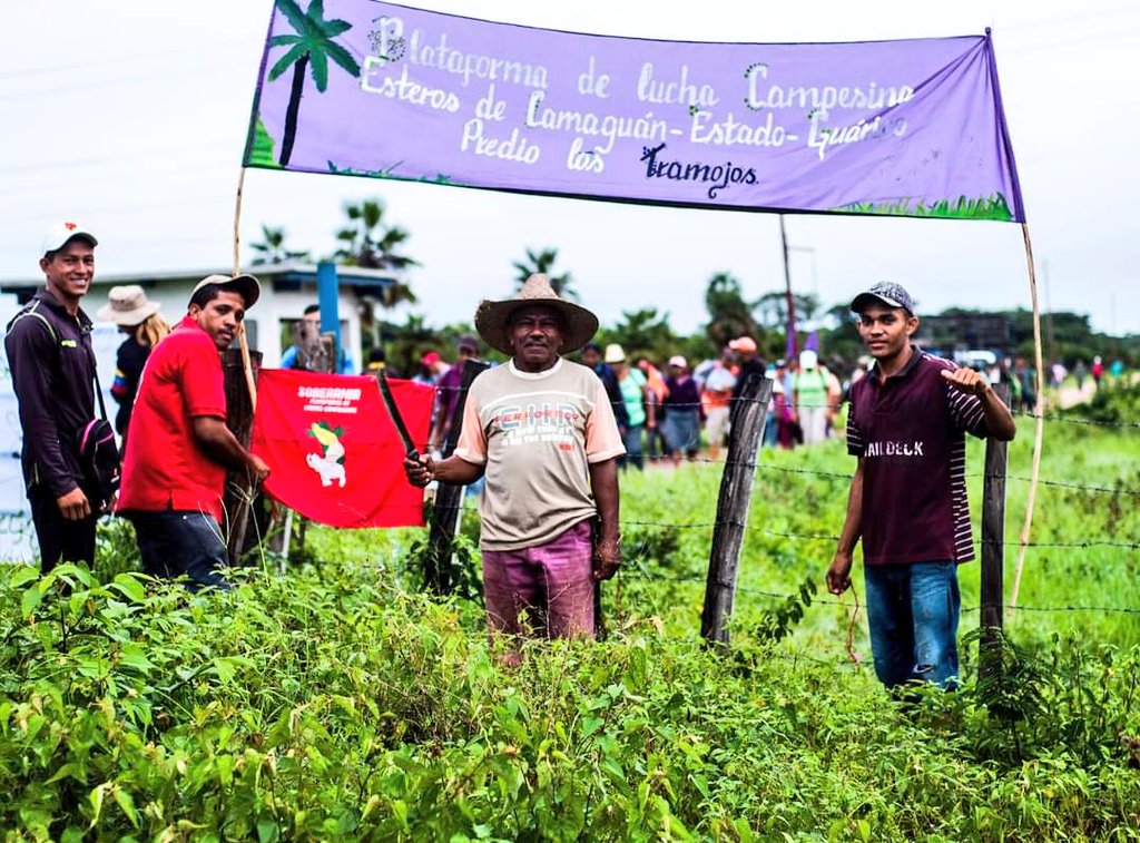TSJ ruling returns land to peasants from Los Tramojos