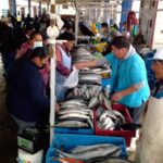 Tacna: Citizens crowd the Grau market to stock up on fish (VIDEO)