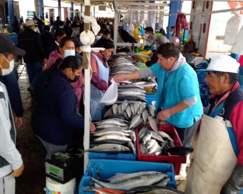 Tacna: Citizens crowd the Grau market to stock up on fish (VIDEO)