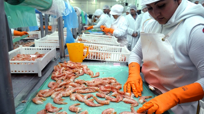 The Government unblocked customs obstacles for the export of fish and shrimp