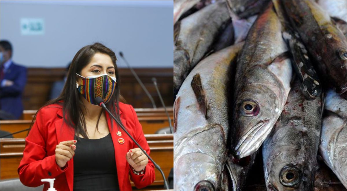 The Law declaring the “National Fish Consumption Day” is enacted