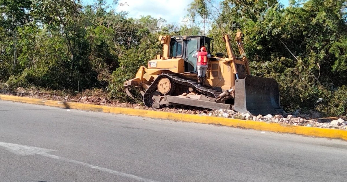 The clearing of the jungle continues in Quintana Roo for the Mayan Train tracks, despite an injunction