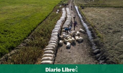 The measures of the Ministers of Agriculture of Ibero-America