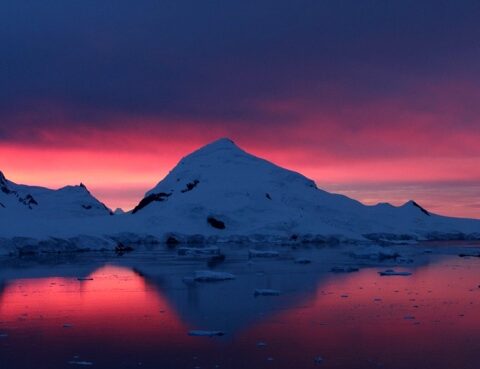 The north and south poles increased their temperature by about 40 degrees