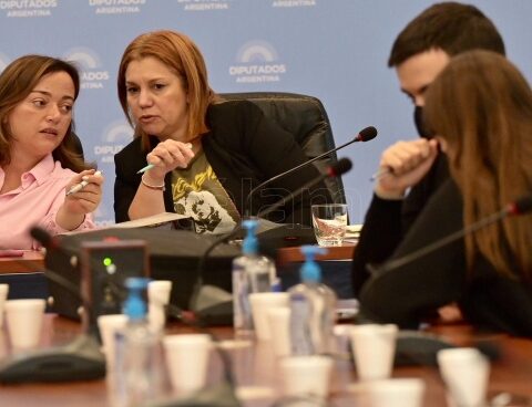 The round of consultations continues in Deputies for the reform of the rental law