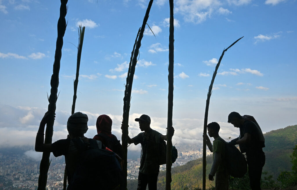 Palmeros de Chacao