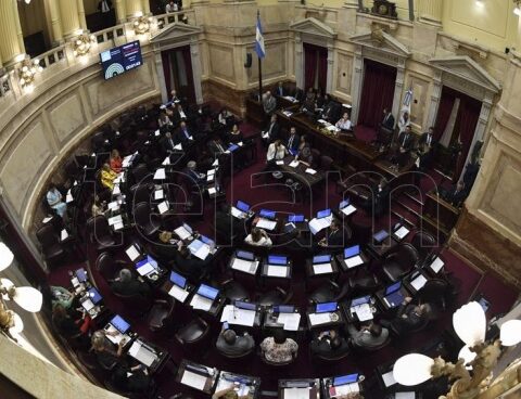 The vice president of the CNV endorsed the bill for senators from "special contribution"