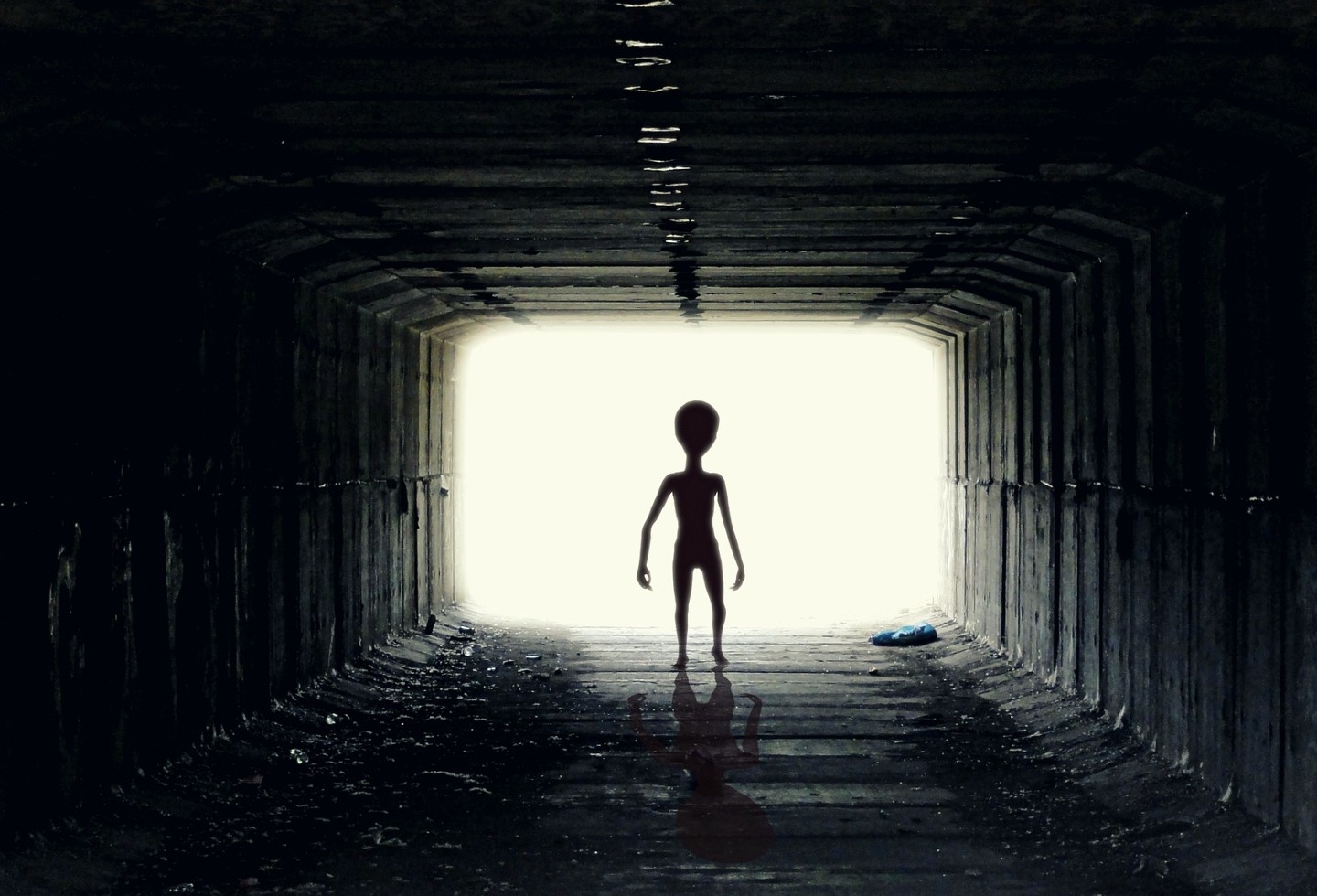 This is the message that NASA scientists seek to send to aliens