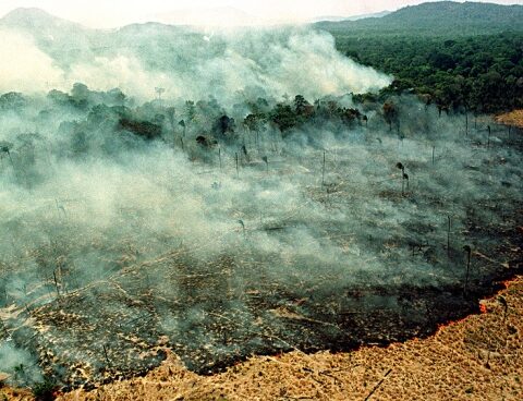 Twitter announced that it will block "misleading ads" who deny climate change