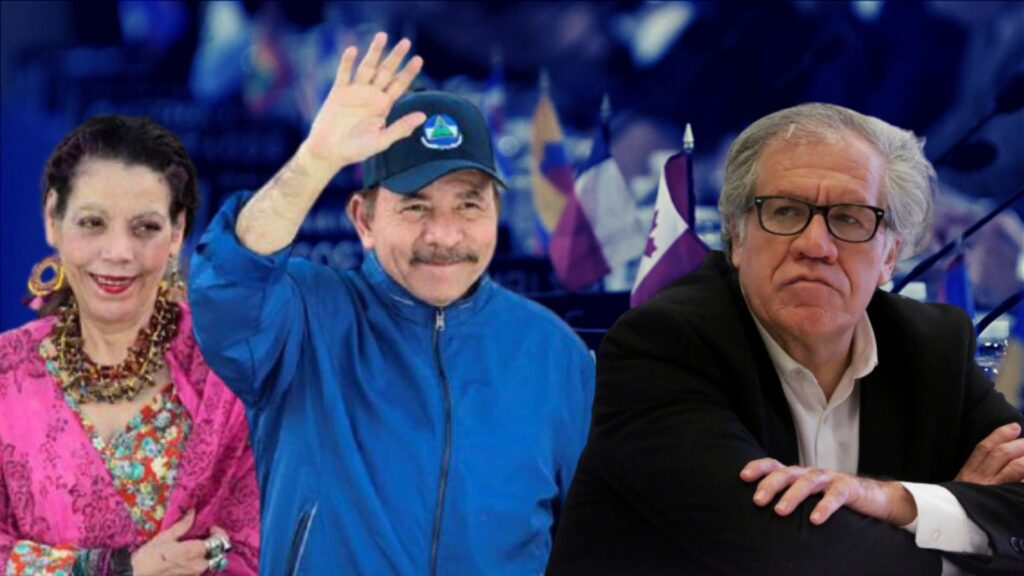 UNAB: Ortega "flees" from the OAS because he did not resist the "blow that McFields' complaint represented"