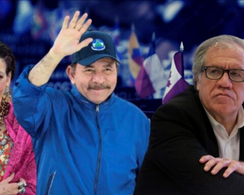 UNAB: Ortega "flees" from the OAS because he did not resist the "blow that McFields' complaint represented"