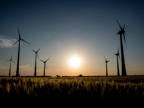 Up and running Alpha and Beta, the largest wind farms in the country