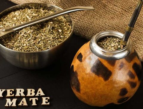Yerba mate consumption grew in the first quarter of the year