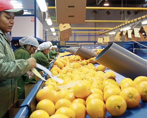 ADEX: Exports generated more than 712,000 jobs in the first two months