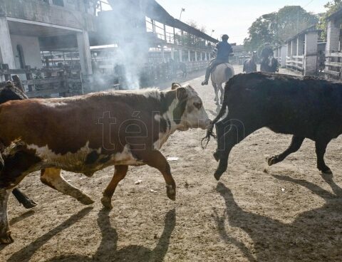 After 122 years of activity, the Liniers Treasury Market closed its doors